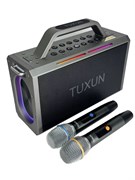 Портативная колонка Remax RB - M61 (180W) (V5.4) (в комплекте 2 микрофона) 113457
